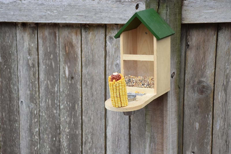 Teacup Bird Feeders