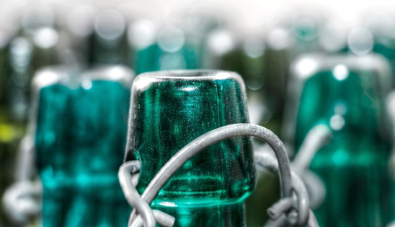 Glass Bottle Planters