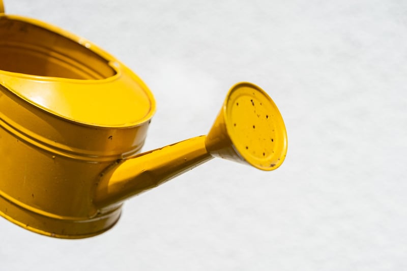 Vintage Watering Can Planters